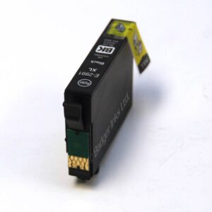 Epson 29XL Black Compatible Ink Cartridge Strawberry Series