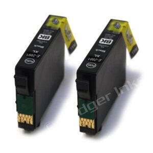 Epson 29XL x2 Black Compatible Ink Cartridges Strawberry Series